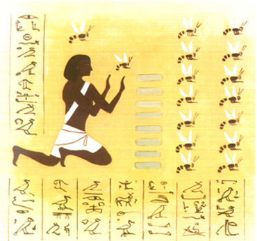 Breve storia della gastronomia: il MIELE