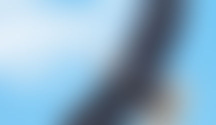 The Mindful Path — Soar | June 3, 2025