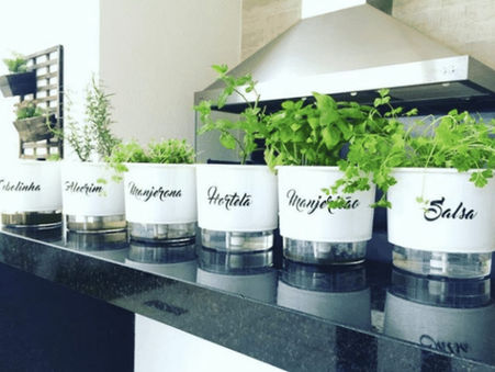Horta em casa: 5 dicas para cultivar a sua