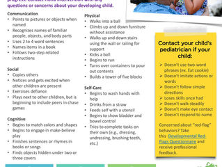 What to Expect in a 24-Month-Old Toddler