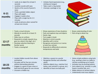 Stages of Cognitive Development