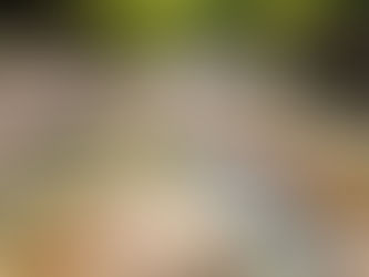 Dinosaur Valley State Park: The Ultimate Guide