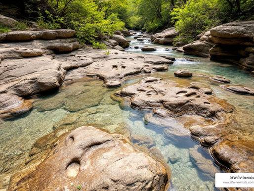 Dinosaur Valley State Park: The Ultimate Guide