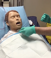 Screen Shot 2022-06-01 at 12.08.35 PM.png