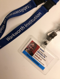 screen-shot-2020-11-22-at-10-55-47-pm_orig