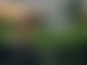 Willow Prairie Portable Buildings Named a Founding Dealer on Sheds.store