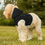 Miniature : Pet Hoodie