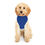 Miniature : Pet Hoodie