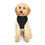 Miniature : Pet Hoodie