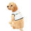 Miniature : Pet Hoodie