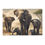 Thumbnail: Elephant(s) Area Rugs 