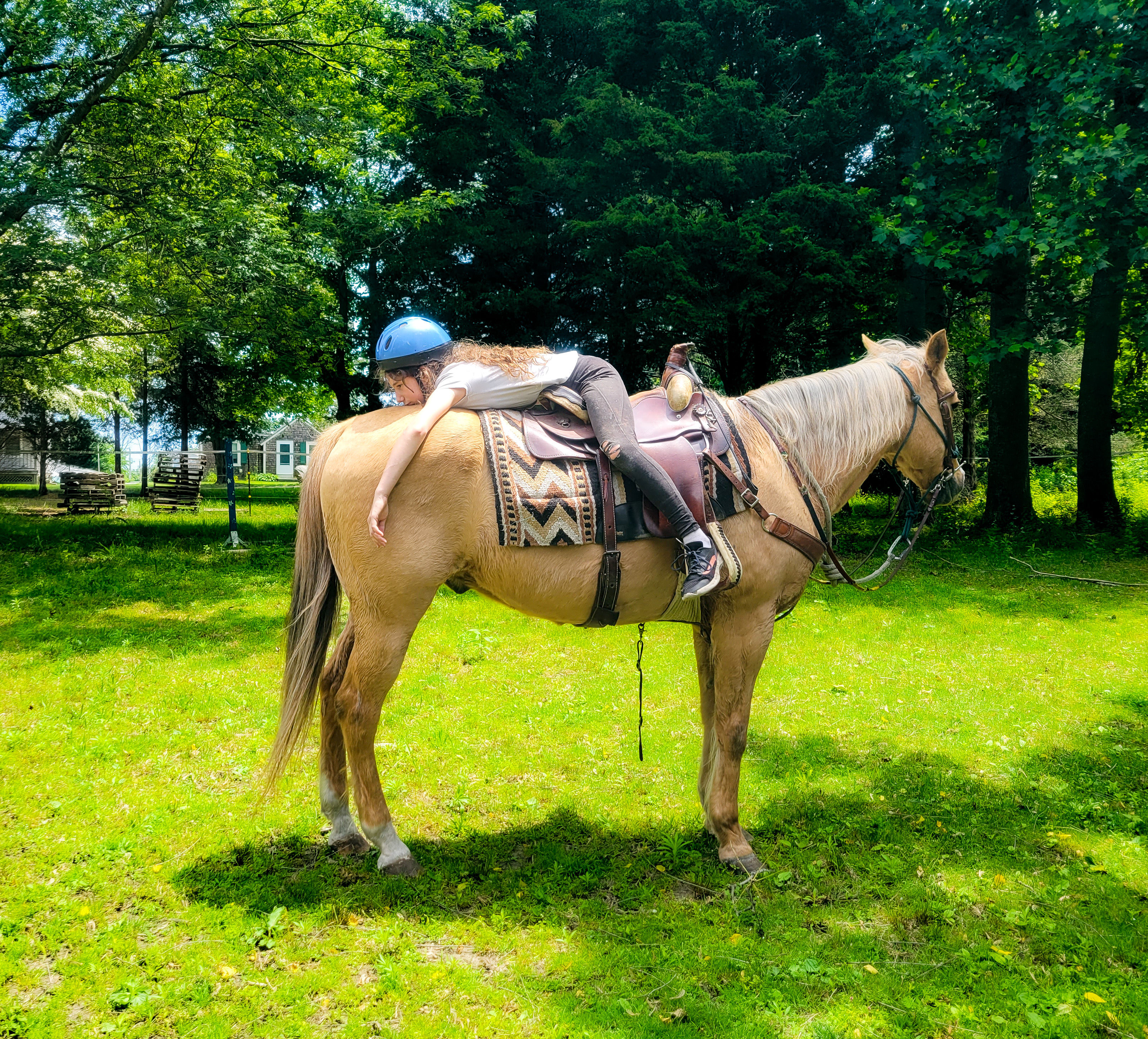 Pony ride petting zoo deposit