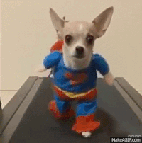 happy puppy.gif