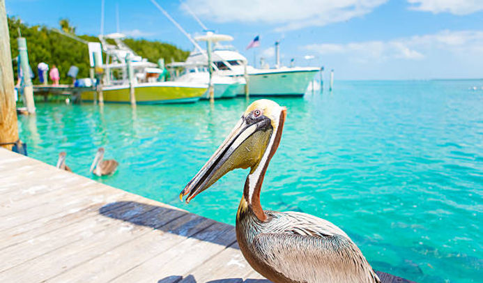 islamorada waterfront
