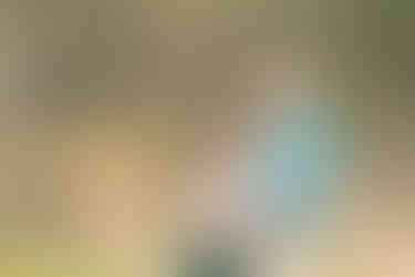 A woman hugs her fiancé as they both laugh