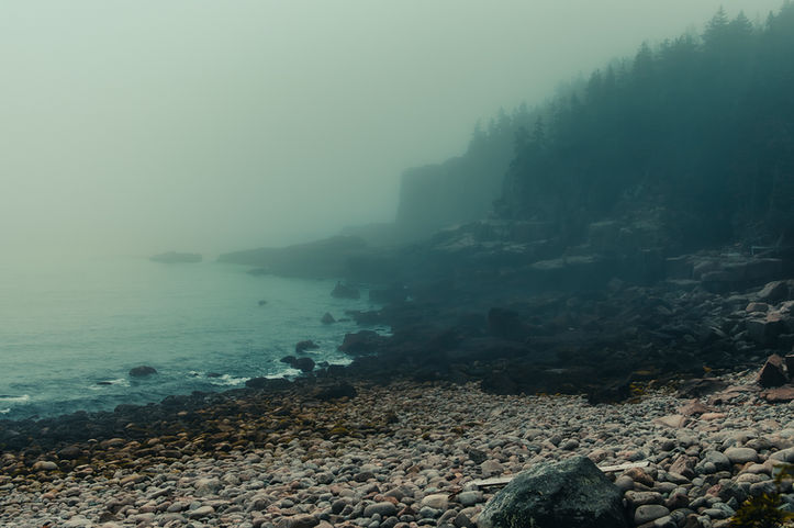 A rocky beach curves around the Atlantic Ocean. There is a thick fog visible and the trees of a nearby forest are silhouetted.