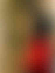 A little girl gazes into a window surrounded by Christmas lights