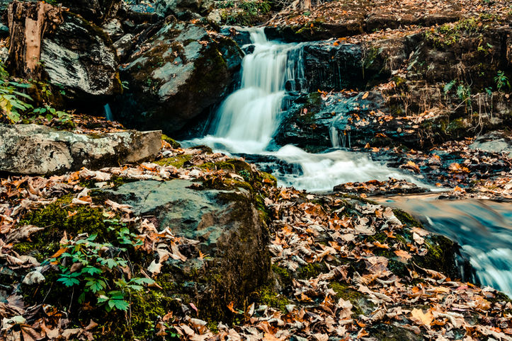 A small waterfall flows over rocks and downstream, passing by boulders covered in fallen, orange leaves.