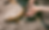 hund massieren.png