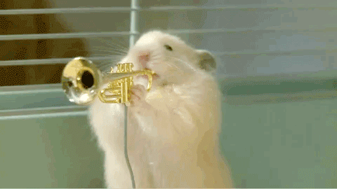 mouse