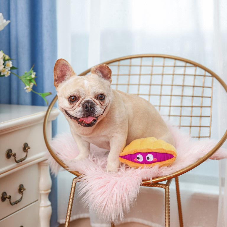 Thumbnail: Hond met Ocean Pals Clam in huiselijke setting