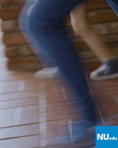 gif1.gif