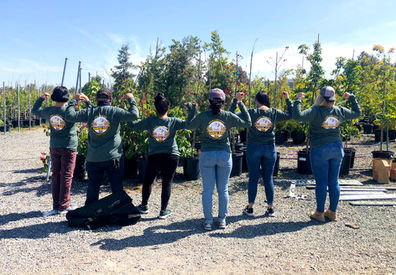 City Forrest Earth Day
