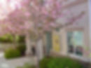 Spring time, main entrance, GSAP