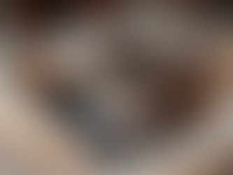 Raising Happy and Healthy Maine Coon Kittens