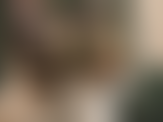 Top 5 Rare Maine Coon Cat Coat Colors Revealed