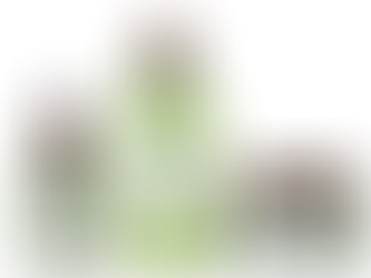 [레이디경향] “피부 수분 절대 지켜” 피부 장벽 기능 저하가 치매 위험 높일 수 있다