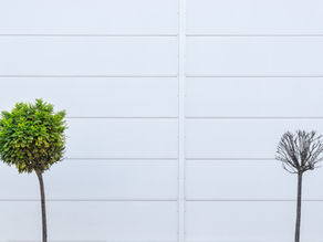 「生」與「死」之間的社會設計