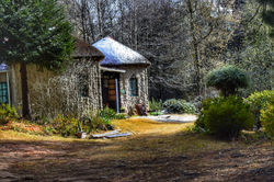 DSC_0172-03