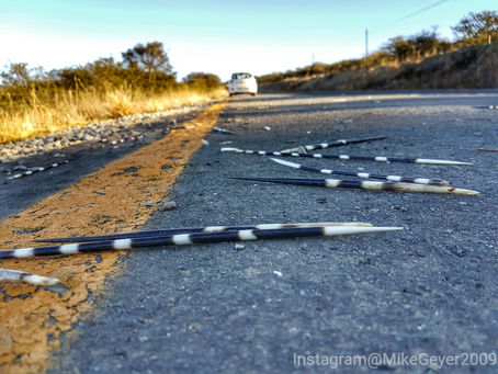 Out on the open road in the countryside