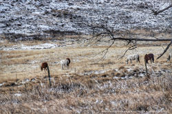 DSC_0134-02-01