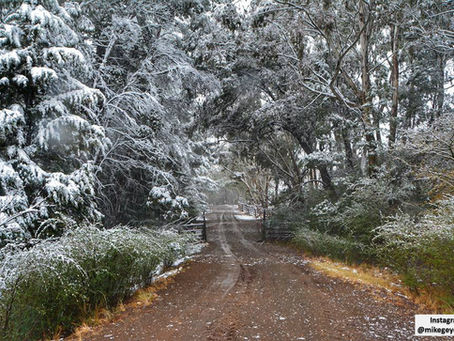 Snow Creating a Beautiful Farm Entrance