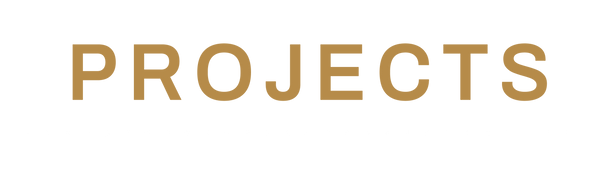 PROJECTS TEMPLATE copy.png