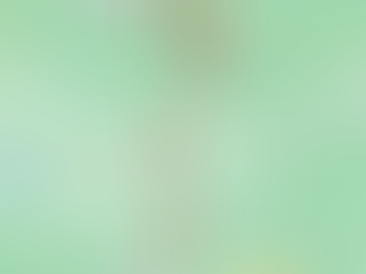 "How to Easily Access Fourche Trails or Wolf Pen Gap East Trail Head from Hidden Oaks Cabins"