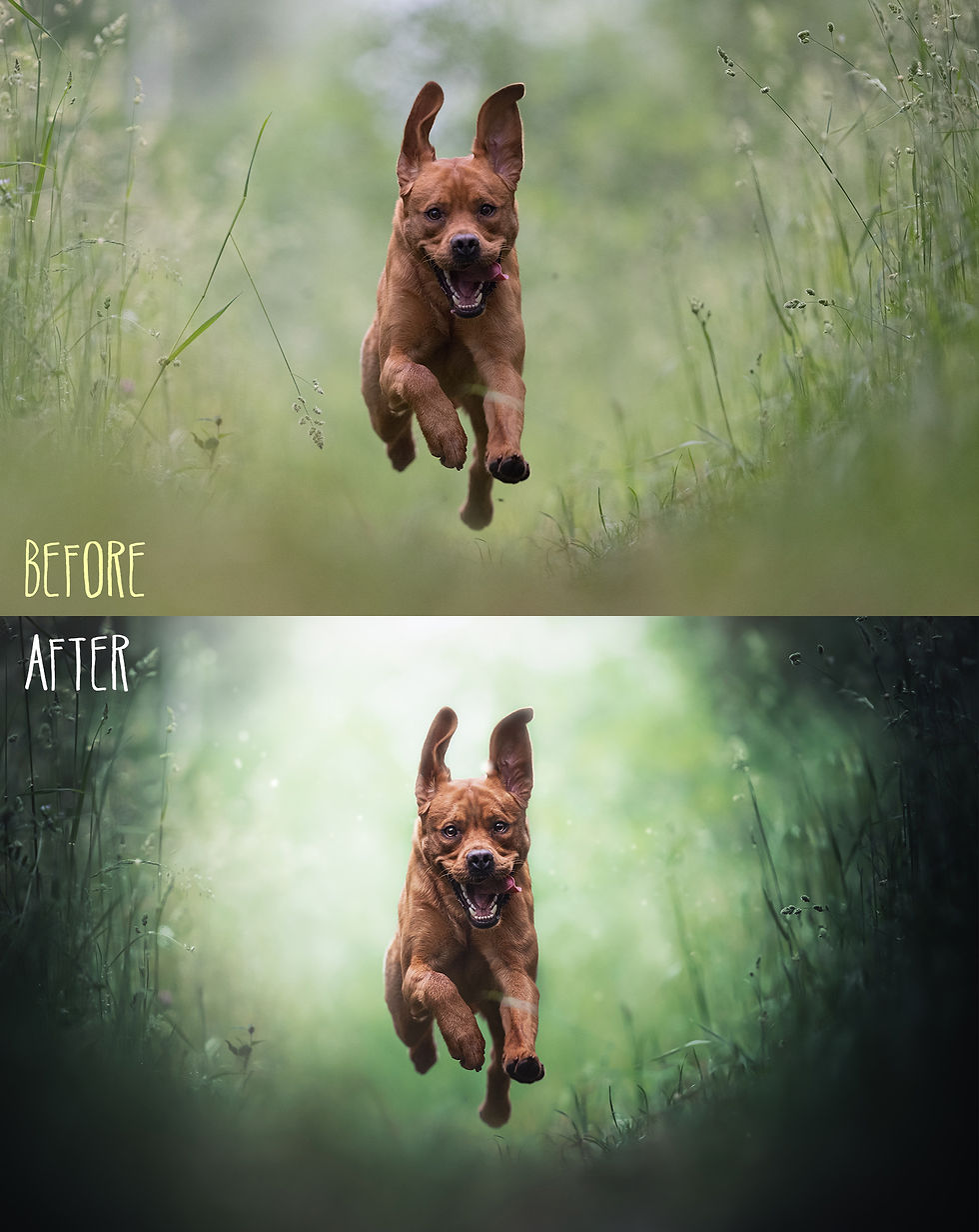 Thumbnail: Golden Autumn - Preset Pack
