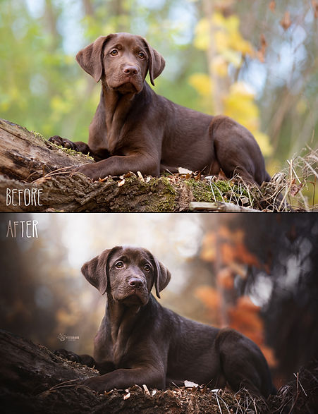 Before_After54.jpg