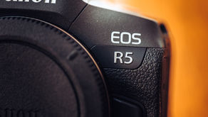 Mein Foto-Equipment für die Hundefotografie