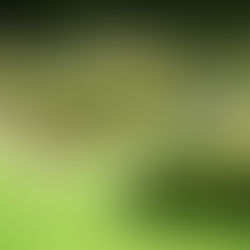 Weekly for 16 April 2023 (Easter 2)