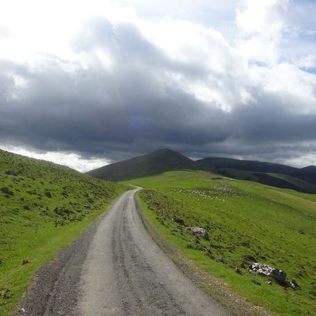 Mailout for 19 June 2022 (Pentecost 2 Trinity 1 OS 12, Year C)