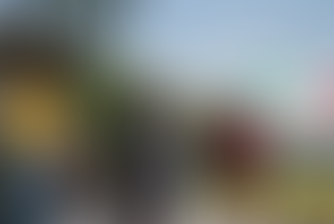 Grito Week with STUCO at ASF: Recap of Thrilling Competitions and Spicy Spilling Sauce!