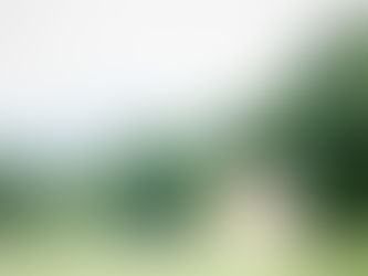 ２０１８年どんな年にしますか？