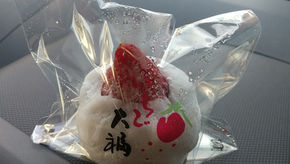 【募集】三島広小路、街の呼吸を感じて歩くヨガの帰り道