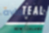 Thumbnail: TEAL - Douglas DC-8-52 ZK-NZA - 1965 Livery