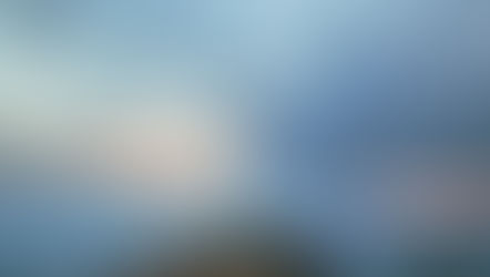 Finding Contentment in Life's Imperfections