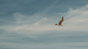 Life Changes in an Instant