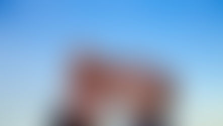 Are Promises Made to Be Broken?